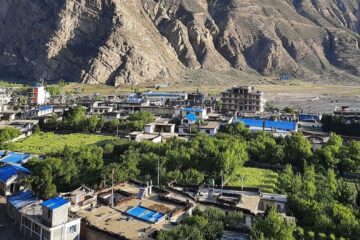 धौलागिरि लघुवित्तको आइपिओको बाँडफाँट